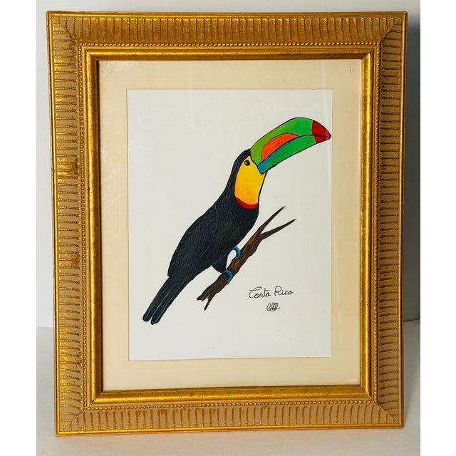 Modern 1960s Costa Rican Toucan Bird Watercolor in Gold Frame For Sale - Image 3 of 4
