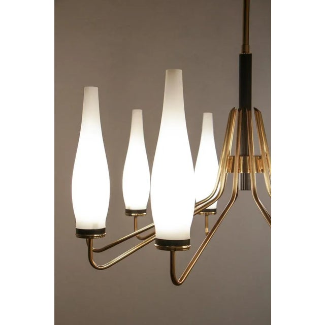 Italian Mid-Century Modern Ten Light Chandelier Attributed to Stilnovo, 1950s For Sale - Image 17 of 18