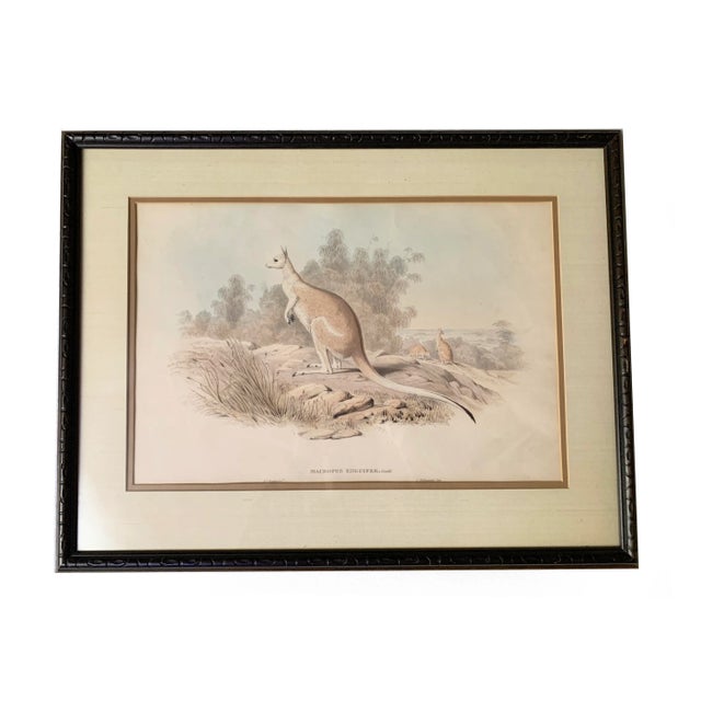 Wood Victorian h.c. Richter Hand Colored Lithograph Artwork For Sale - Image 7 of 7