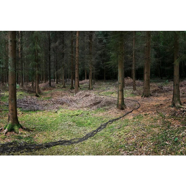 Knit One, Pearl One 3 is a Digital C-Type Print on Fuji Maxima Matte paper, available in this size from a Limited Edition...