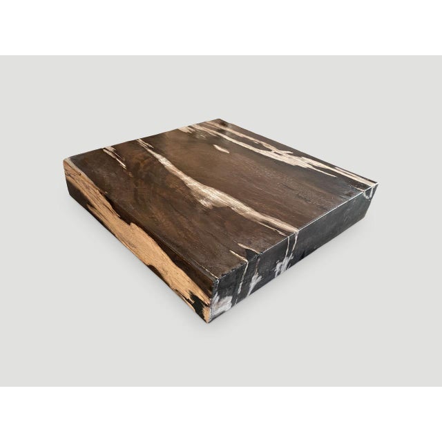 15th Century & Earlier Andrianna Shamaris Petrified Wood Slab For Sale - Image 5 of 6