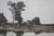 Antique Edward Loyal Field Signed Farmhouse Pond Windmill Landscape Etching 29" For Sale - Image 10 of 14