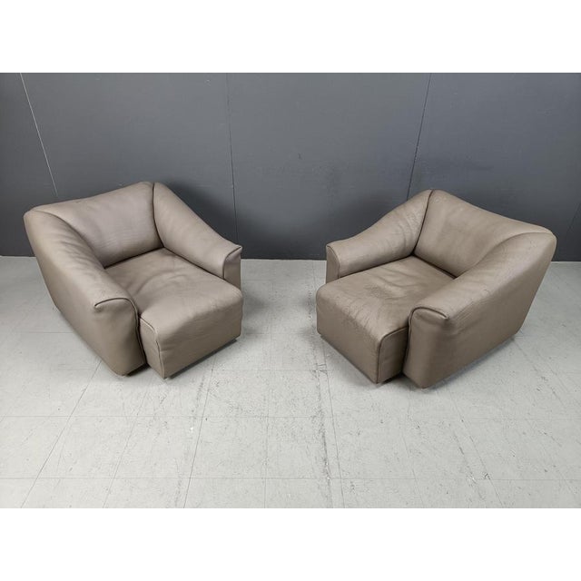 1970s DS47 Armchairs from de Sede, 1970s, Set of 2 For Sale - Image 5 of 12