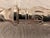 Late 19th Century Victorian Mappin Bros. Silverplate Fish Eaters, 6 Sets 12 Pieces For Sale - Image 12 of 16