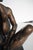 Agenore Fabbri, Seated Female Nude, 1980s, Bronze For Sale - Image 9 of 13