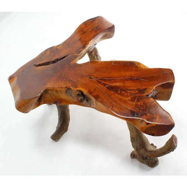 Organic Modern Driftwood Coffee Table For Sale - Image 4 of 11