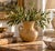 A charming vintage metal vase inspired by the classical pottery of ancient Greece and Rome. Featuring a beautifully...