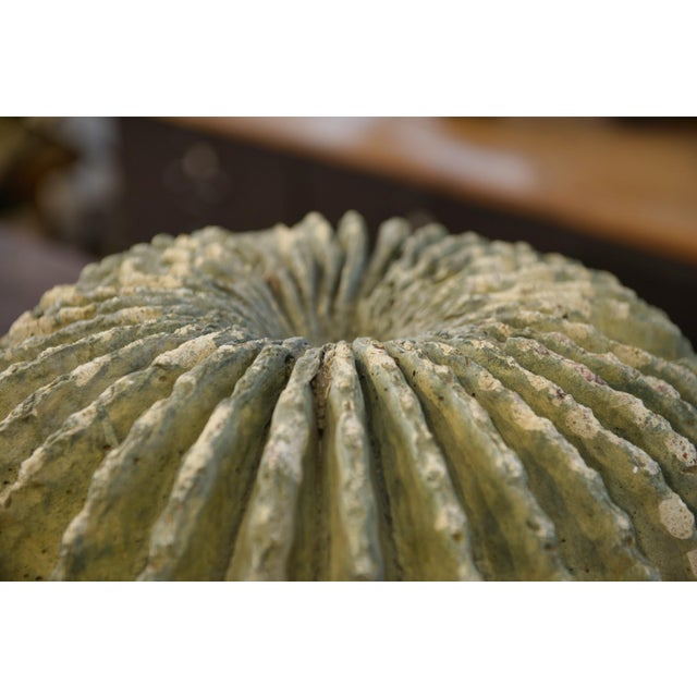 Brutalist sculpture in reconstituted stone, dating from the 1950s, with an organic and highly sculptural form. The ovoid...
