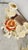 Ivory Pair of Vintage Ivory Ceramic Rose Double Candle Holders For Sale - Image 8 of 18