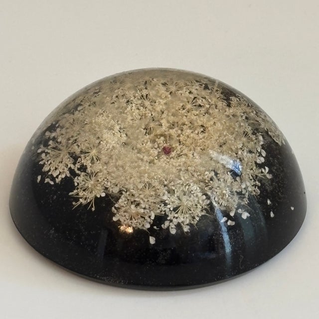 Mid-20th Century Signed William Rolfe Botanical Resin Paperweight For Sale - Image 9 of 15