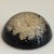 Mid-20th Century Signed William Rolfe Botanical Resin Paperweight For Sale - Image 9 of 15