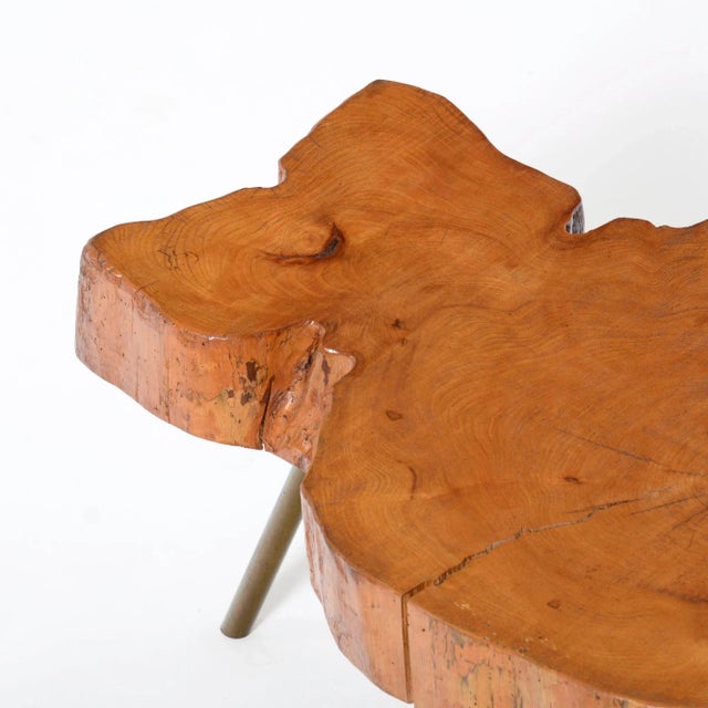Tree Trunk Coffee Table For Sale - Image 17 of 18