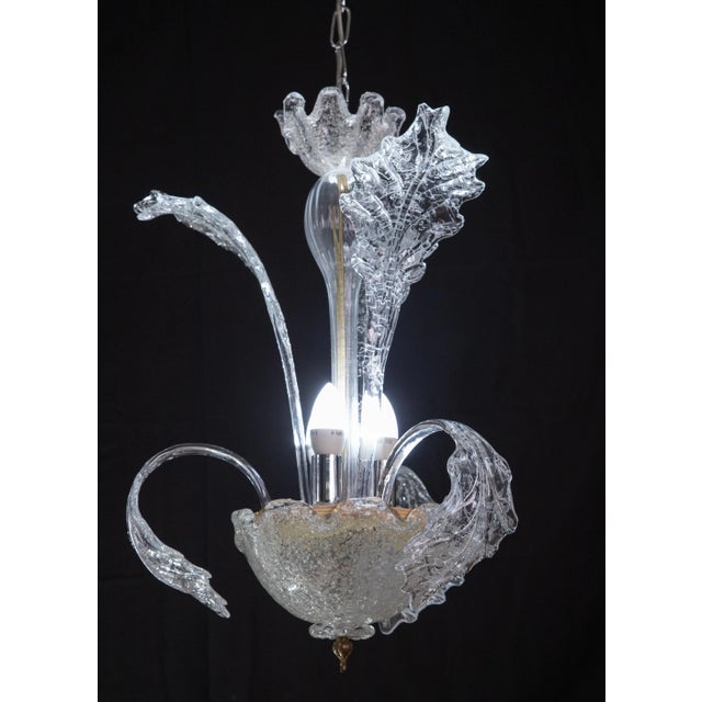 Vintage Murano Chandelier, 1970s For Sale - Image 12 of 12