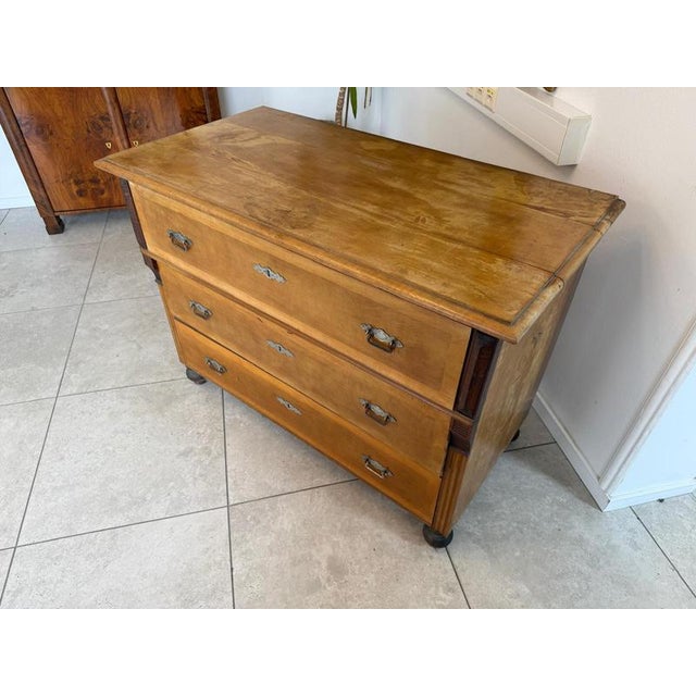Gründerzeit Chest of Drawers in Walnut For Sale - Image 6 of 15