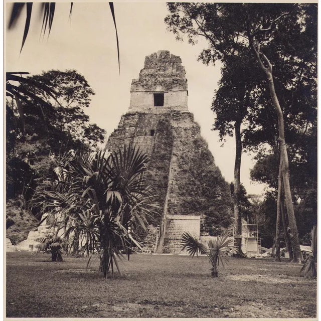 Hanna Seidel, Guatemalan Tikal, Black and White Photograph, 1960s For Sale - Image 3 of 3