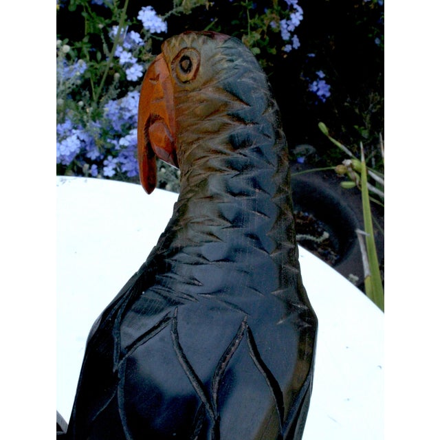 Hand-Carved Hardwood Macaw Parrot Sculpture Vintage 1970s - Peruvian For Sale - Image 12 of 14