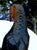 Hand-Carved Hardwood Macaw Parrot Sculpture Vintage 1970s - Peruvian For Sale - Image 12 of 14