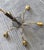 Mid-Century Modern 5-Arm Tulip Chandelier, 50s 60s Sputnik Design Brass Accents For Sale - Image 12 of 12