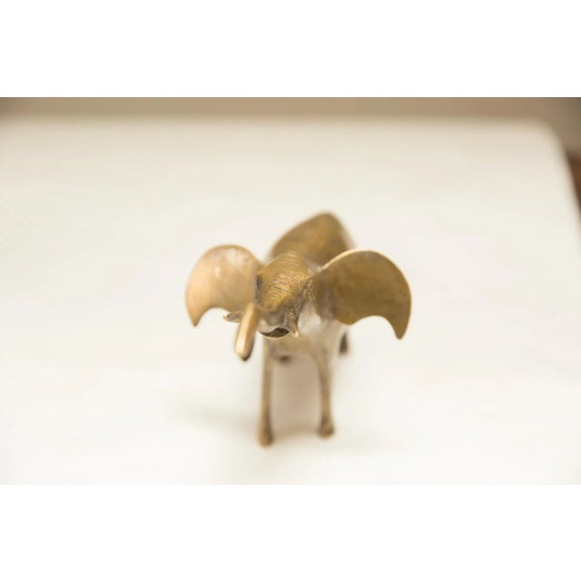Vintage African Golden Patina Elephant Trunk Up For Sale - Image 4 of 10