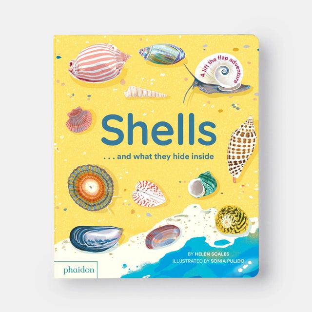 A richly illustrated, informative, and interactive introduction to shells for children aged 2-4, with over 40 flaps to...