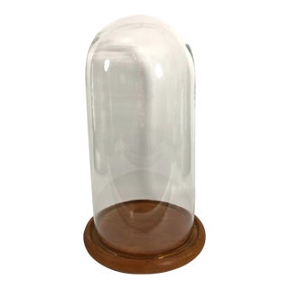 Late 19th Century Large Display Glass Cloche Dome With Base For Sale
