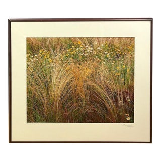 Original John Wawrzonek 'roadside Meadow #1' Landscape Signed Photograph For Sale