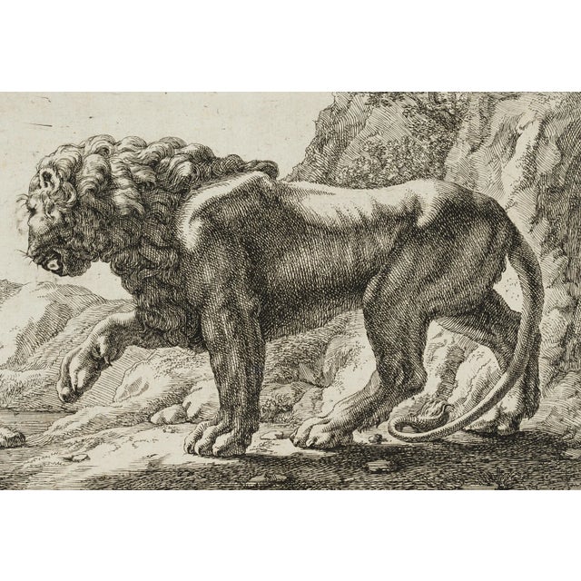 J. Meyer, Pacing Lion, 17th-Century, Etching For Sale - Image 4 of 4