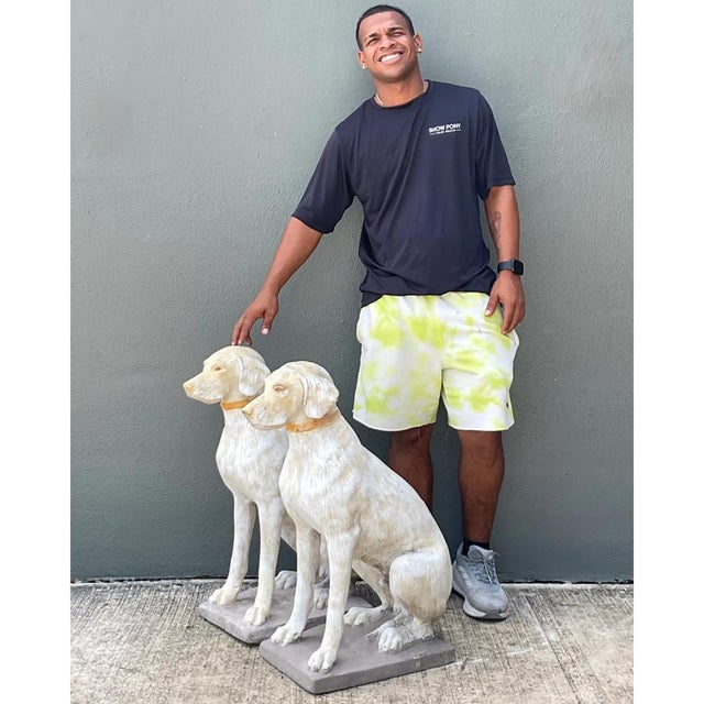 Cream Vintage Cement Dog Sculptures - A Pair For Sale - Image 8 of 12