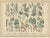 Gold Antique Botanical Charts of German Flora & Orchids Atlas, Stuttgart, 1885, Set of 6 For Sale - Image 8 of 9