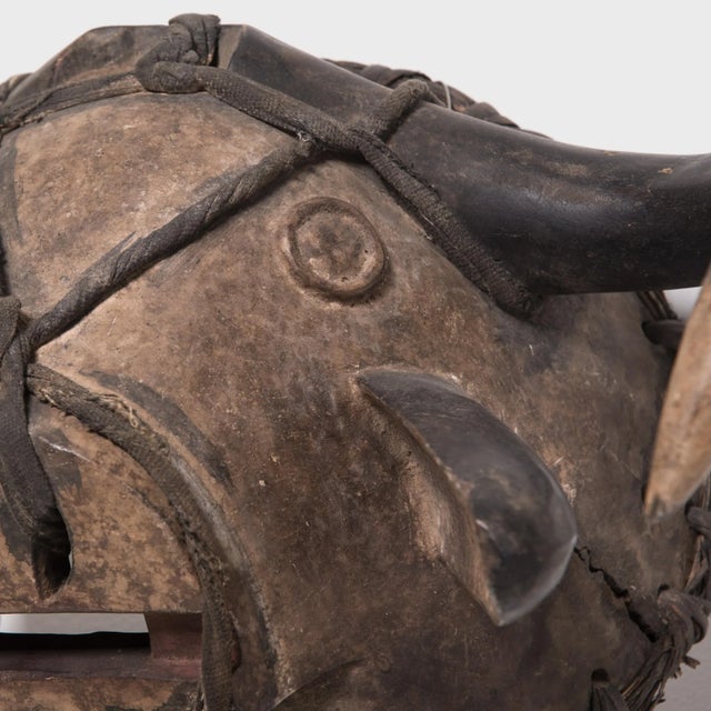 Bidjogo Tribal Initiation Ox Mask, C. 1900 For Sale - Image 4 of 5