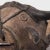 Bidjogo Tribal Initiation Ox Mask, C. 1900 For Sale - Image 4 of 5