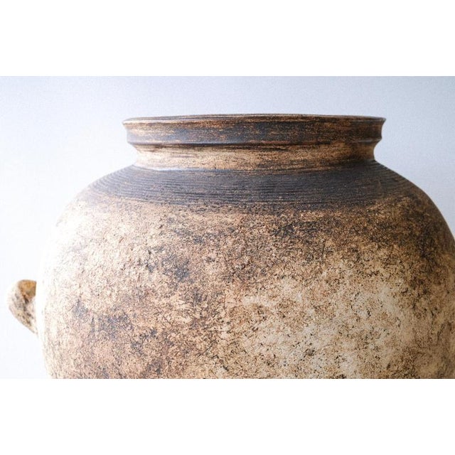 Not Yet Made - Made To Order Dolium Vase in Stoneware by Robin Kerr For Sale - Image 5 of 7