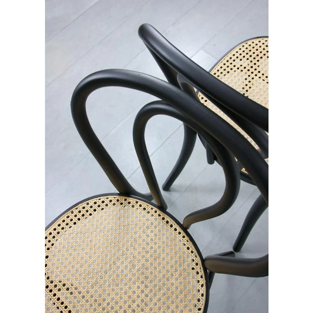 Wood Bentwood No. 218 Chairs, Set of 2 For Sale - Image 7 of 18