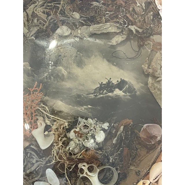 English Reduced-British Colonial Sea Shell Oval Sailors Valentines For Sale - Image 3 of 6