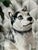 Ceramic Late 20th Century Vintage Italian Husky Puppy Dog Ceramic Figure Statue Sculpture For Sale - Image 7 of 9
