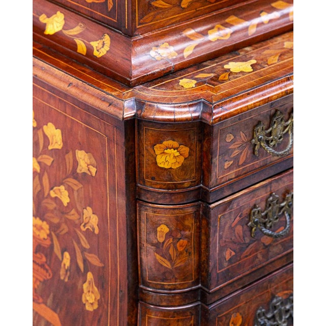 Brown Small Antique Dutch Floral Marquetry Vitrine Cupboard For Sale - Image 8 of 15