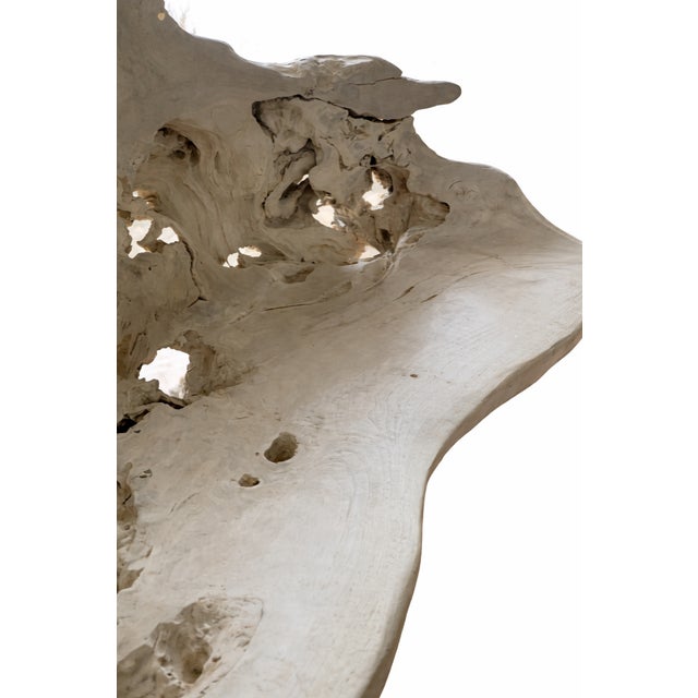 Contemporary Sculptural Bleached Driftwood Bench With Organic Openwork Back For Sale - Image 3 of 6