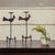 Lovely pair of iron rooster candlesticks from France, 1950s. Forged iron rooster motif with stem resting on a tripod base....