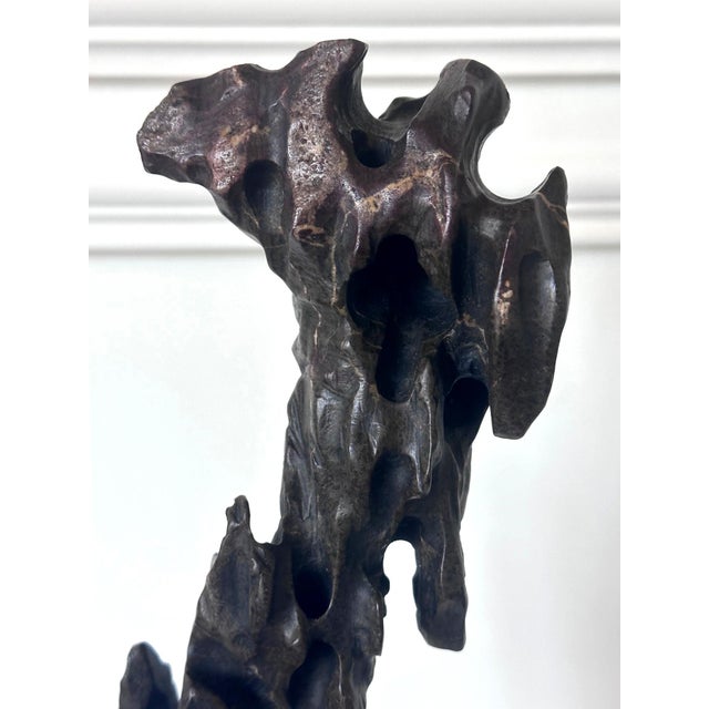 Stone Chinese Scholar Stone Tall Slender Lingbi Rock on Display Stand For Sale - Image 7 of 17