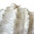 White Vintage White Ceramic Conch Shell Soup Tureen With Underplate & Ladle - Set of 3 For Sale - Image 8 of 12