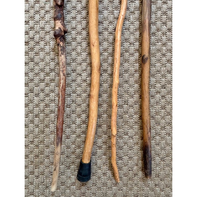 Late 20th Century Set Four Rustic Twisted and Knobby Carved Walking Sticks For Sale - Image 4 of 8