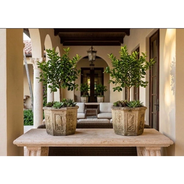 Pair of Vintage Hexagonal Cast Stone Garden Planters With Relief Wildlife Panels For Sale - Image 10 of 12