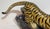 Vintage Chinese Cloisonne Tiger For Sale - Image 11 of 15