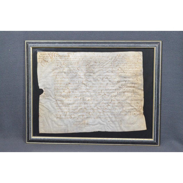 1534 French Renaissance Manuscript Legal Deed on Parchment, Seigneur De Petiteville For Sale - Image 10 of 11