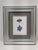 Contemporary Framed Pair of Pressed Blue Delphinium Flowers For Sale - Image 3 of 9