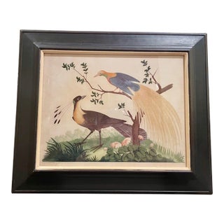 Birds Print, Porter House, Bath, England, Framed For Sale