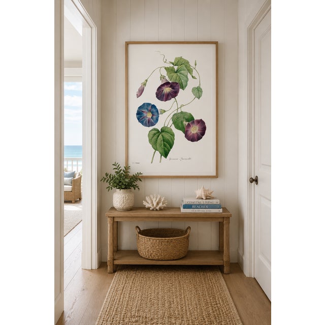 French Country Star-Glory Morning-Glory, Vintage Botanical Art Print Reproduction by Pierre-Joseph Redouté, 32" X 48" For Sale - Image 3 of 10