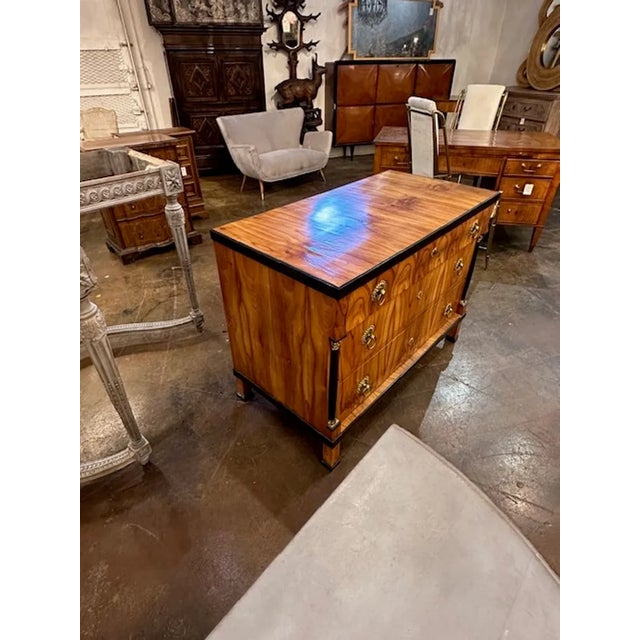 Wood Biedermeier Walnut Commode For Sale - Image 7 of 7