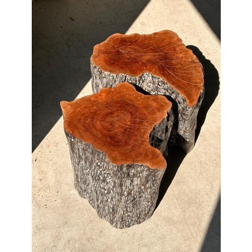 Duo of two lychee stools, stools or side tables. Organic solid trunk, beautiful natural patterns of the wood, natural...