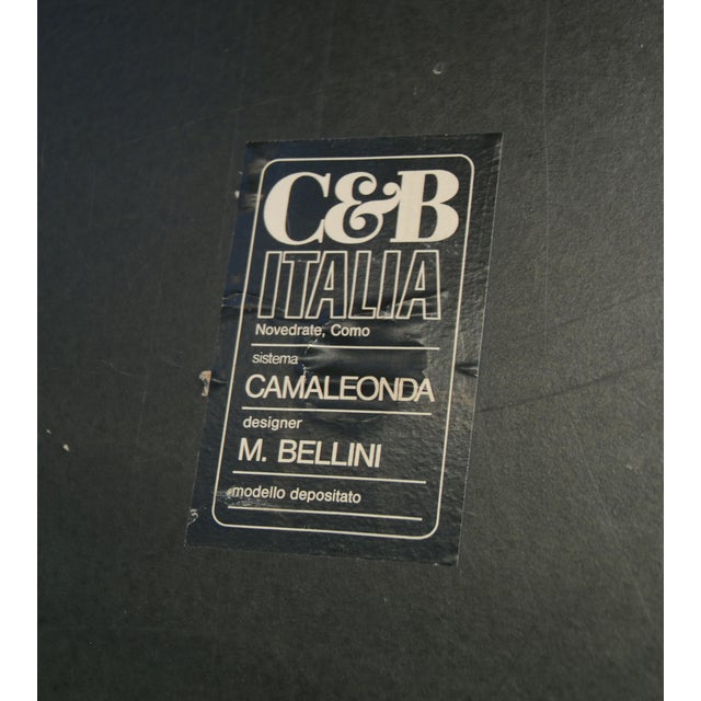 Mid-Century Modern Vintage Camaleonda Armchairs by Mario Bellini for B&B Italia / C&B Italia, 1970s, Set of 2 For Sale - Image 3 of 10